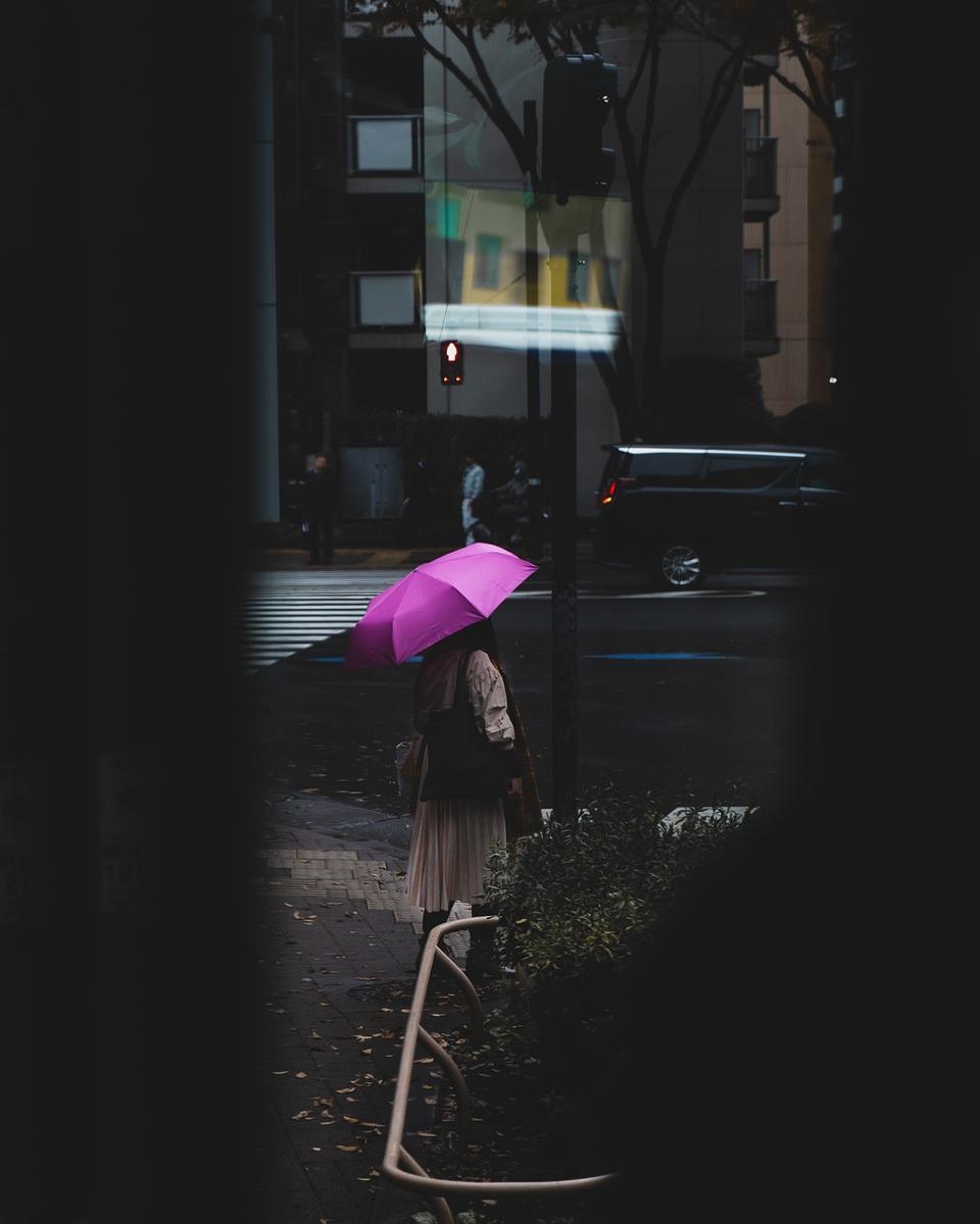 fashion umbrellas